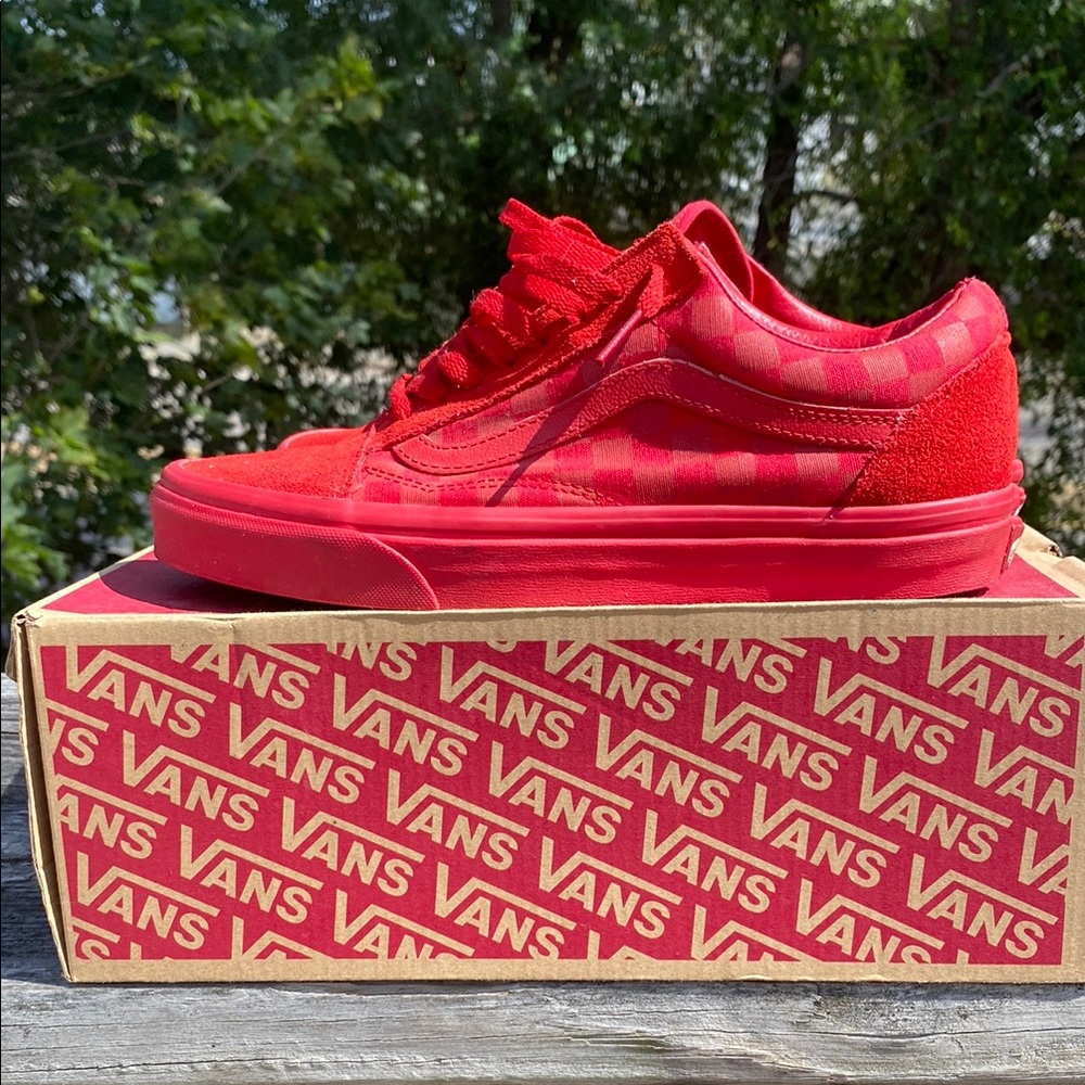 Vans Checkered Red Skate Shoes